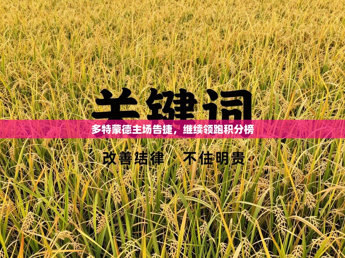 多特蒙德主场告捷,继续领跑积分榜 第1张